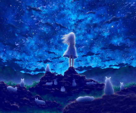 starry sky rabbit night Anime girl anime girl anime night HD Desktop Wallpaper | Background Image