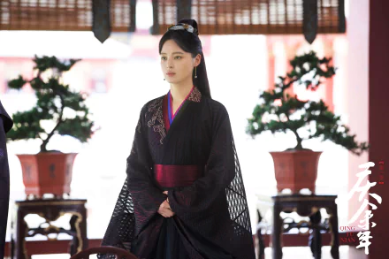 TV Show Joy of Life HD Desktop Wallpaper | Background Image