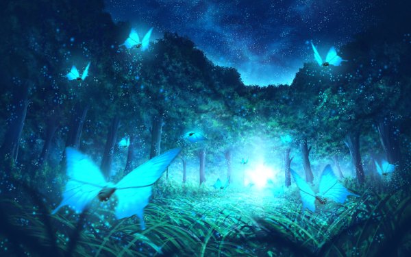 Anime Noite Borboleta Papel de Parede HD | Plano de Fundo