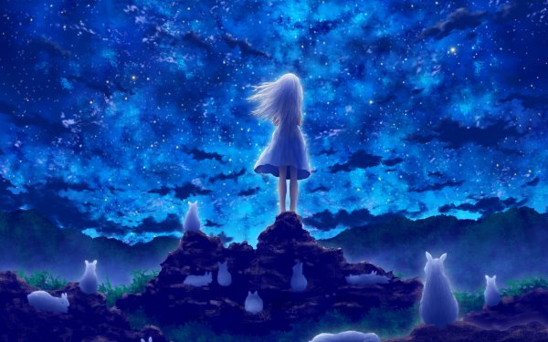 Anime Girl Rabbit Night Starry Sky HD Wallpaper | Background Image