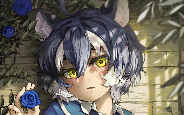 Maltese Tiger (Kemono Friends) Anime Kemono Friends HD Desktop Wallpaper | Background Image