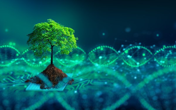 Artistic Tree DNA Structure HD Wallpaper | Background Image