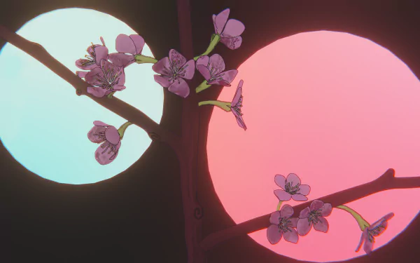 Minimalist artistic 4K Ultra HD PC desktop wallpaper: pink flower blossoms on a dark branch against overlapping teal and rose circular lights.