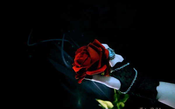 A dark, gothic HD desktop wallpaper featuring a gloved hand holding a vibrant red rose against a black background. Gothic jewelry adorns the wrist, adding an elegant, mystic touch.
