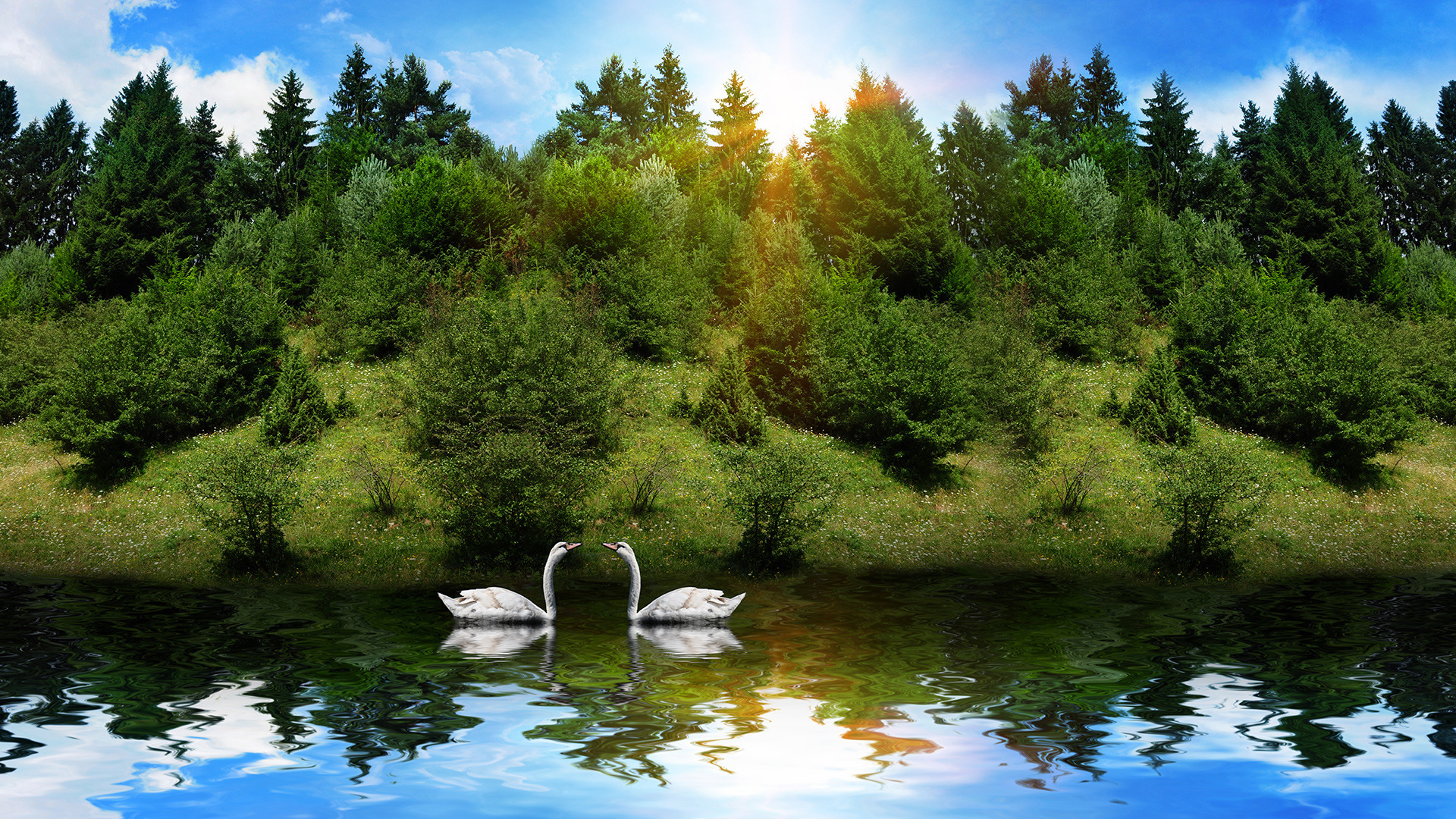 HD wallpaper: fantasy, love, Swan, waterfall, nature, beauty in nature,  tree | Wallpaper Flare