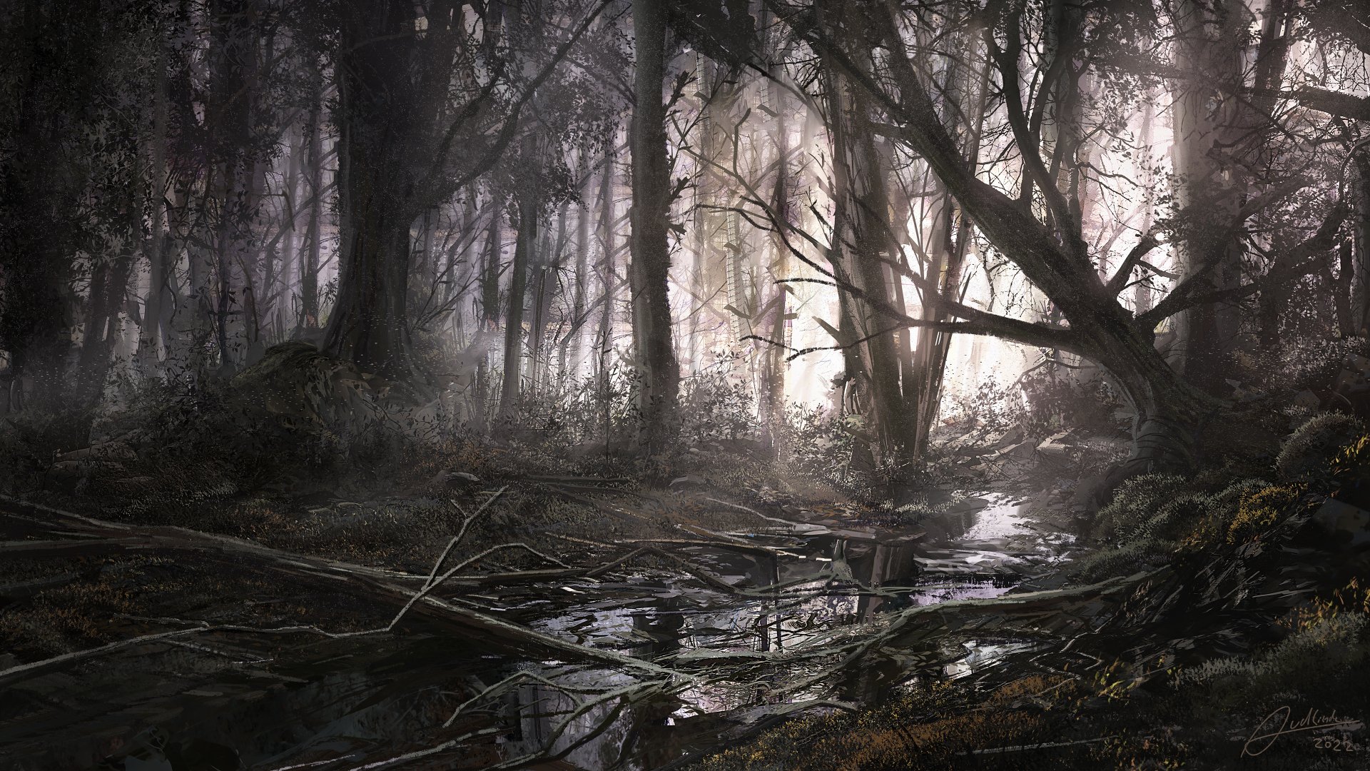 Download Artistic Swamp 4k Ultra HD Wallpaper by Alex van der Linde