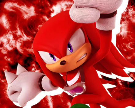  Knuckles the Echidna from the Sonic Riders: Zero Gravity