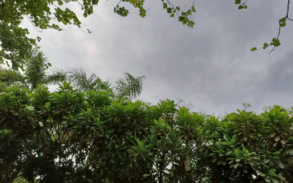 rainy clouds sky cloud tree photography HD Desktop Wallpaper | Background Image