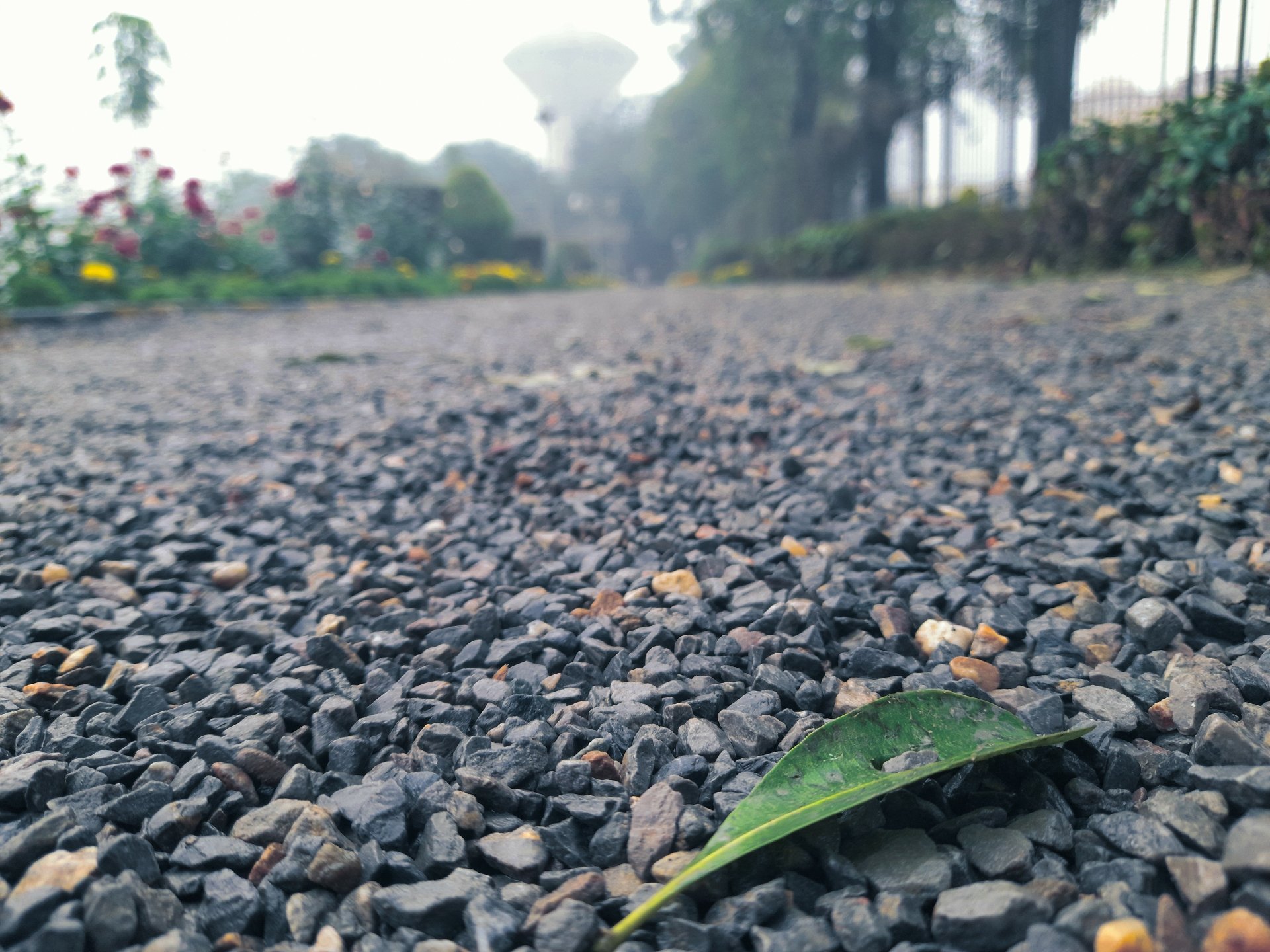 Pavement stones grey by aibee.png