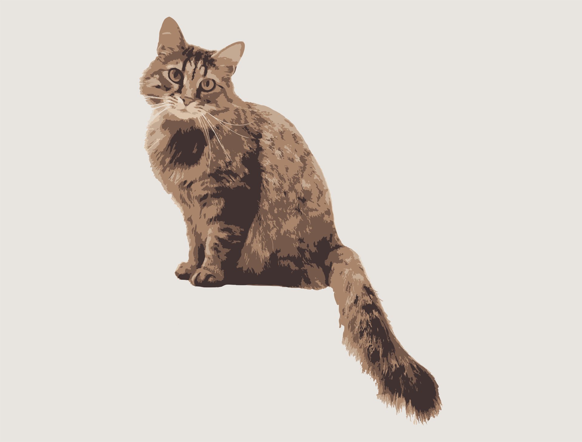 Download Animal Cat 8k Ultra HD Wallpaper by yngams