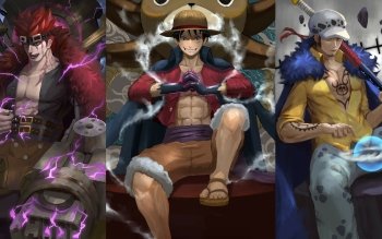 One Piece, Eustass Kid, Monkey D. Luffy, Trafalgar Law, HD