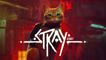 4K Ultra HD PC wallpaper featuring a detailed cat from the video game Stray, set against a vibrant, neon-lit urban background.