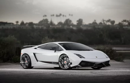 vehicle Lamborghini Gallardo Superleggera HD Desktop Wallpaper | Background Image