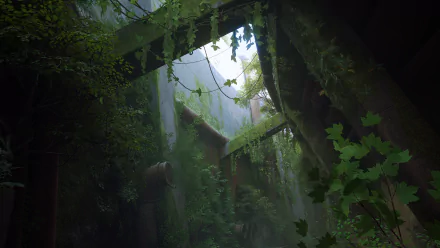 HD PC desktop wallpaper from the video game Stray, featuring a lush, overgrown urban environment with dense vegetation and soft natural light filtering through.