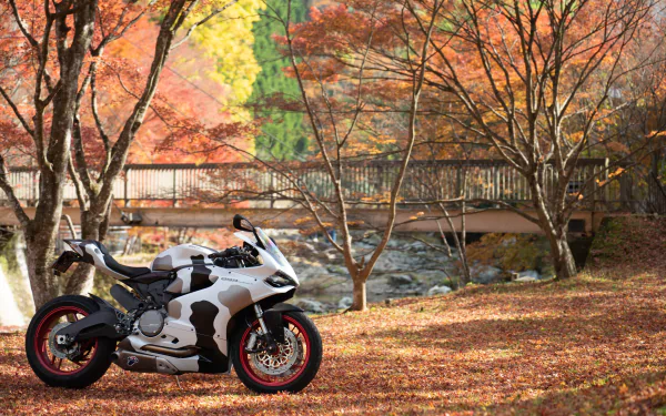 vehicle Ducati 899 Panigale HD Desktop Wallpaper | Background Image