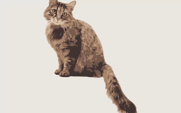 Animal cat HD Desktop Wallpaper | Background Image