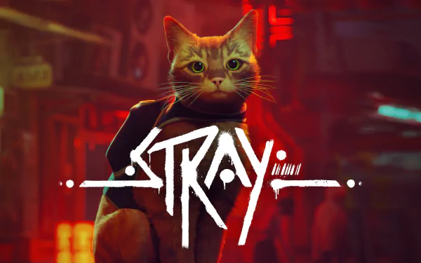 4K Ultra HD PC wallpaper featuring a detailed cat from the video game Stray, set against a vibrant, neon-lit urban background.