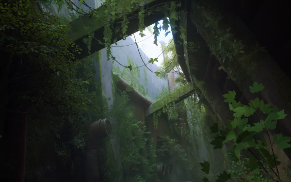 HD PC desktop wallpaper from the video game Stray, featuring a lush, overgrown urban environment with dense vegetation and soft natural light filtering through.