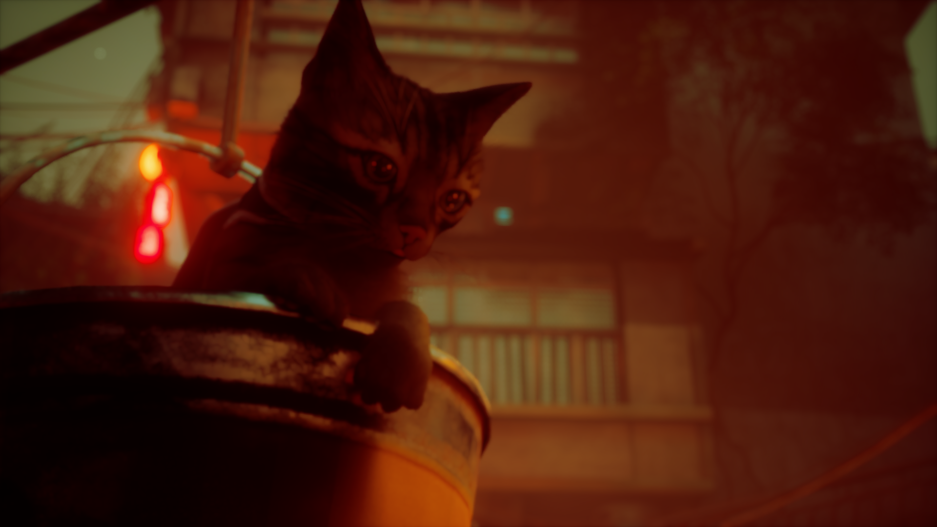 Download Video Game Stray 8k Ultra HD Wallpaper