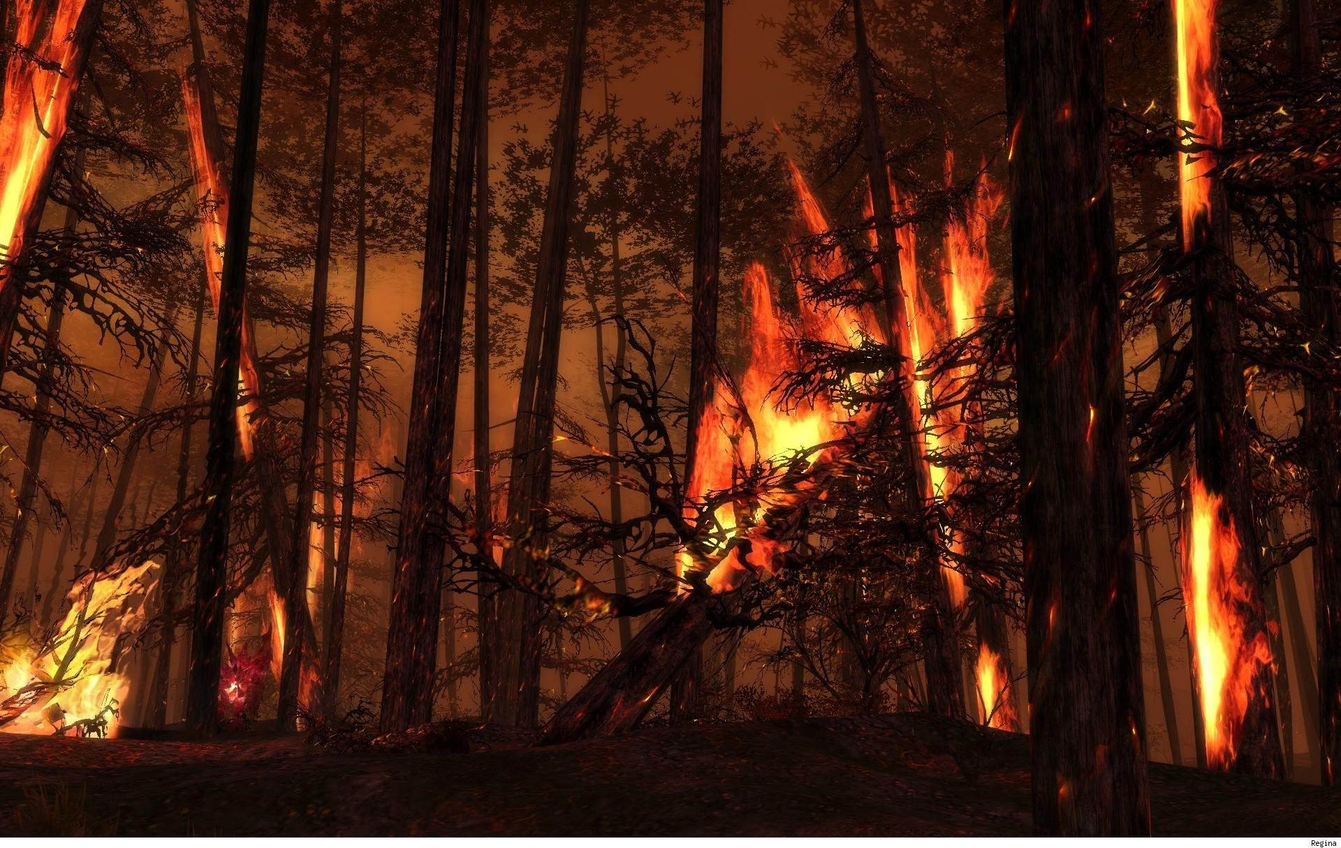 Download Photography Fire HD Wallpaper