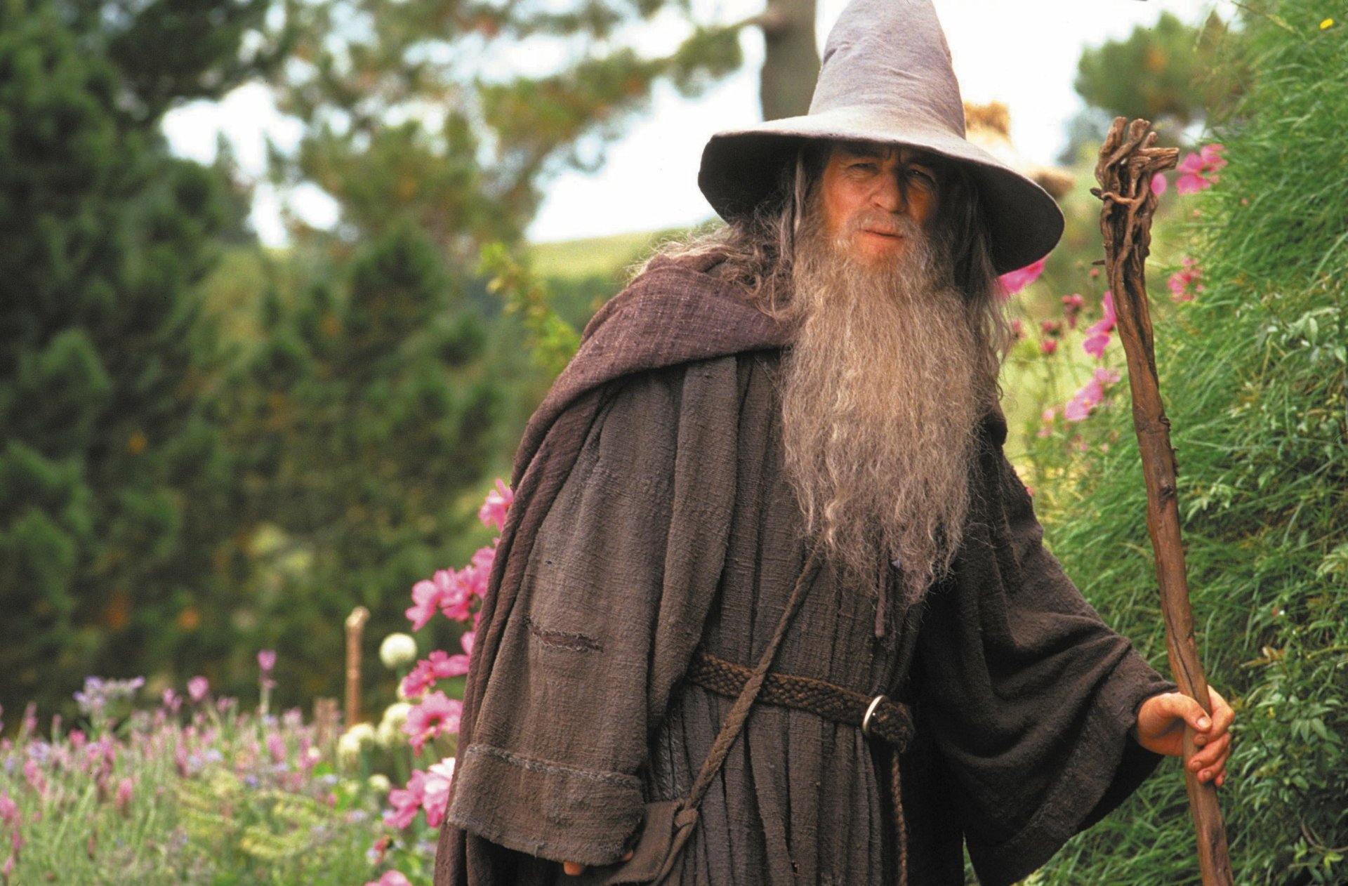 Download Gandalf Ian McKellen Movie The Lord Of The Rings: The Fellowship Of The Ring HD Wallpaper