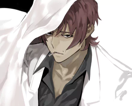 Sakunosuke Oda Anime Bungou Stray Dogs HD Desktop Wallpaper | Background Image