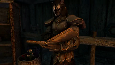  Khajiit Reading a Book in Skyrim's Farm