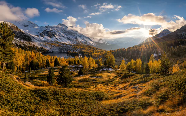 A stunning 4K Ultra HD landscape of Switzerland’s natural beauty, featuring sunlit autumn trees, snow-capped mountains, and a vibrant valley under a bright sky.