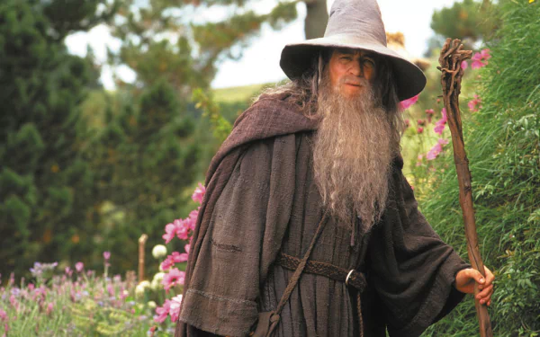  The Grey Wizard