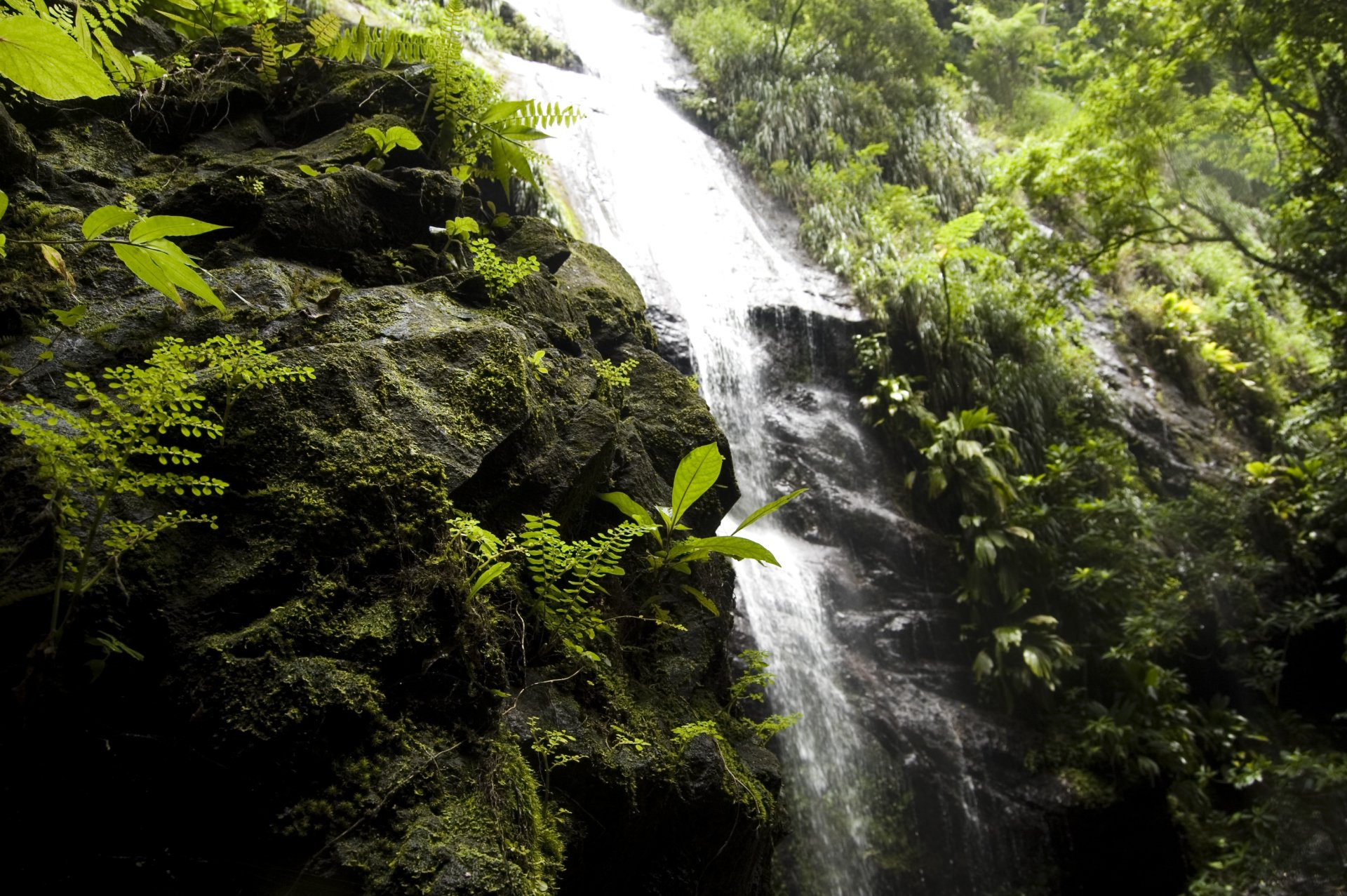 Download Photography Nature HD Wallpaper by BbSGH