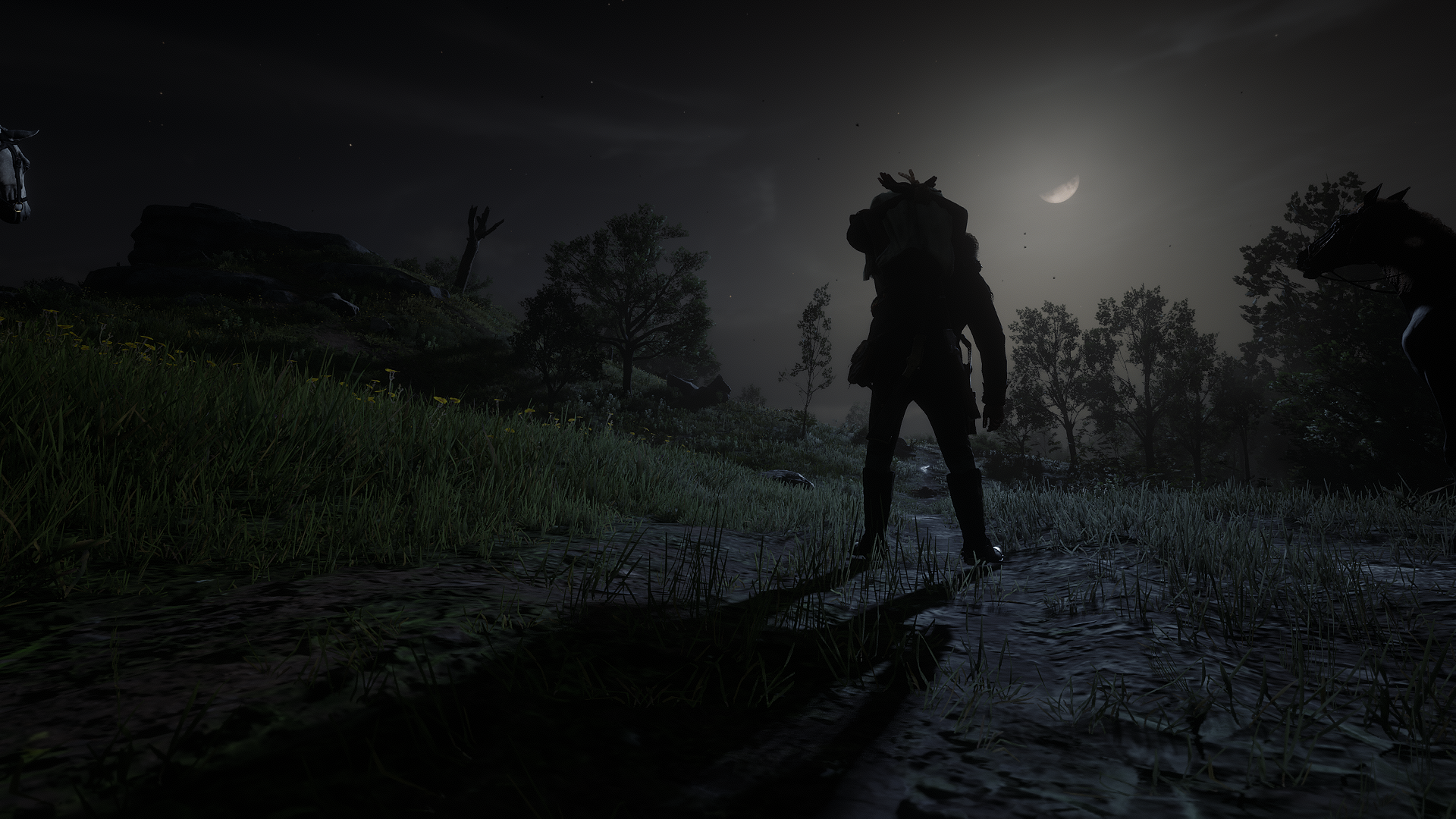 Download Red Dead Redemption 2 HD Wallpaper