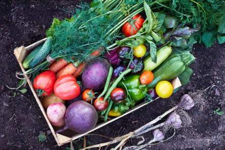 food vegetable HD Desktop Wallpaper | Background Image