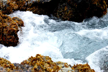 photography nature HD Desktop Wallpaper | Background Image