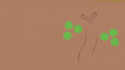 rock pokémon Sudowoodo (Pokémon) Anime Pokemon HD Desktop Wallpaper | Background Image