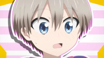 Hana Uzaki Anime Uzaki-chan Wants to Hang Out HD Desktop Wallpaper | Background Image