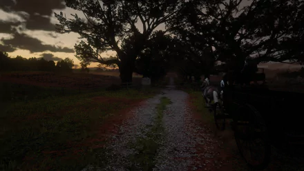  Red dead redemption 2