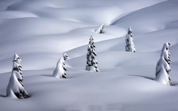 Earth Winter Snow HD Wallpaper | Background Image