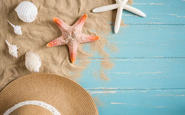 Animal starfish HD Desktop Wallpaper | Background Image