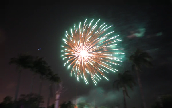 photography fireworks HD Desktop Wallpaper | Background Image