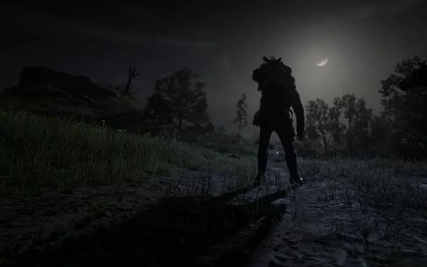  Red dead redemption 2