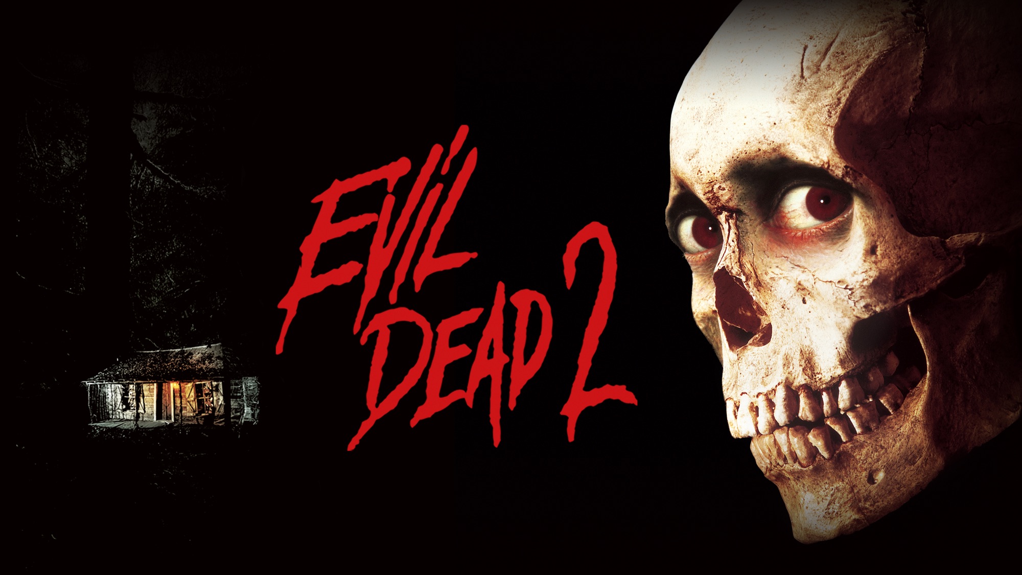 Movie Evil Dead II HD Wallpaper | Background Image