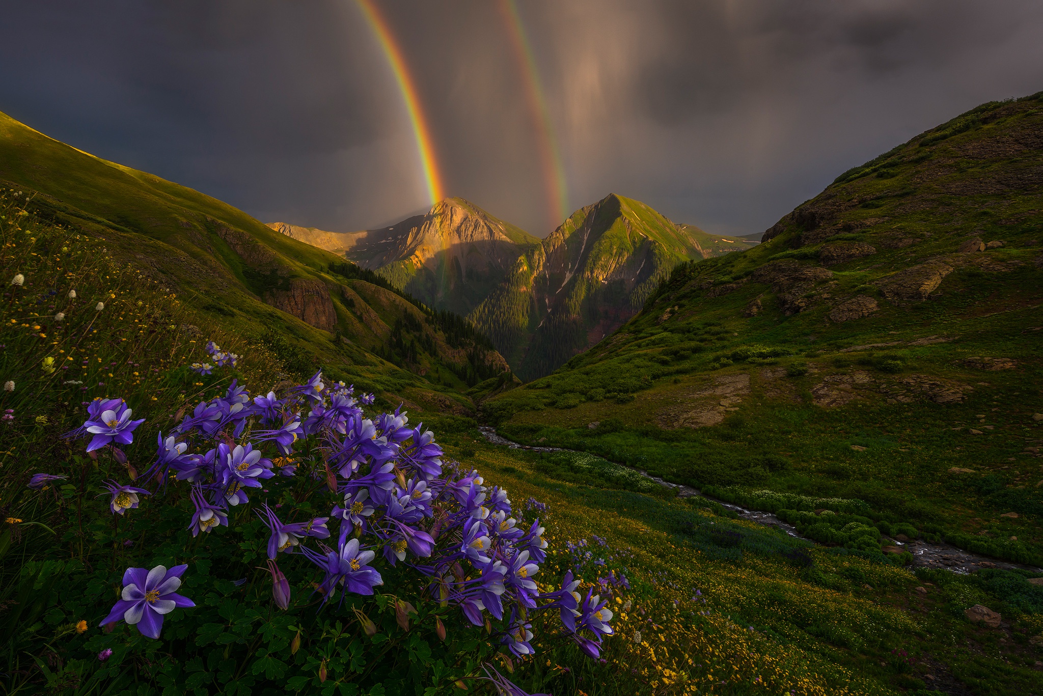 Nature Rainbow HD Wallpaper | Background Image