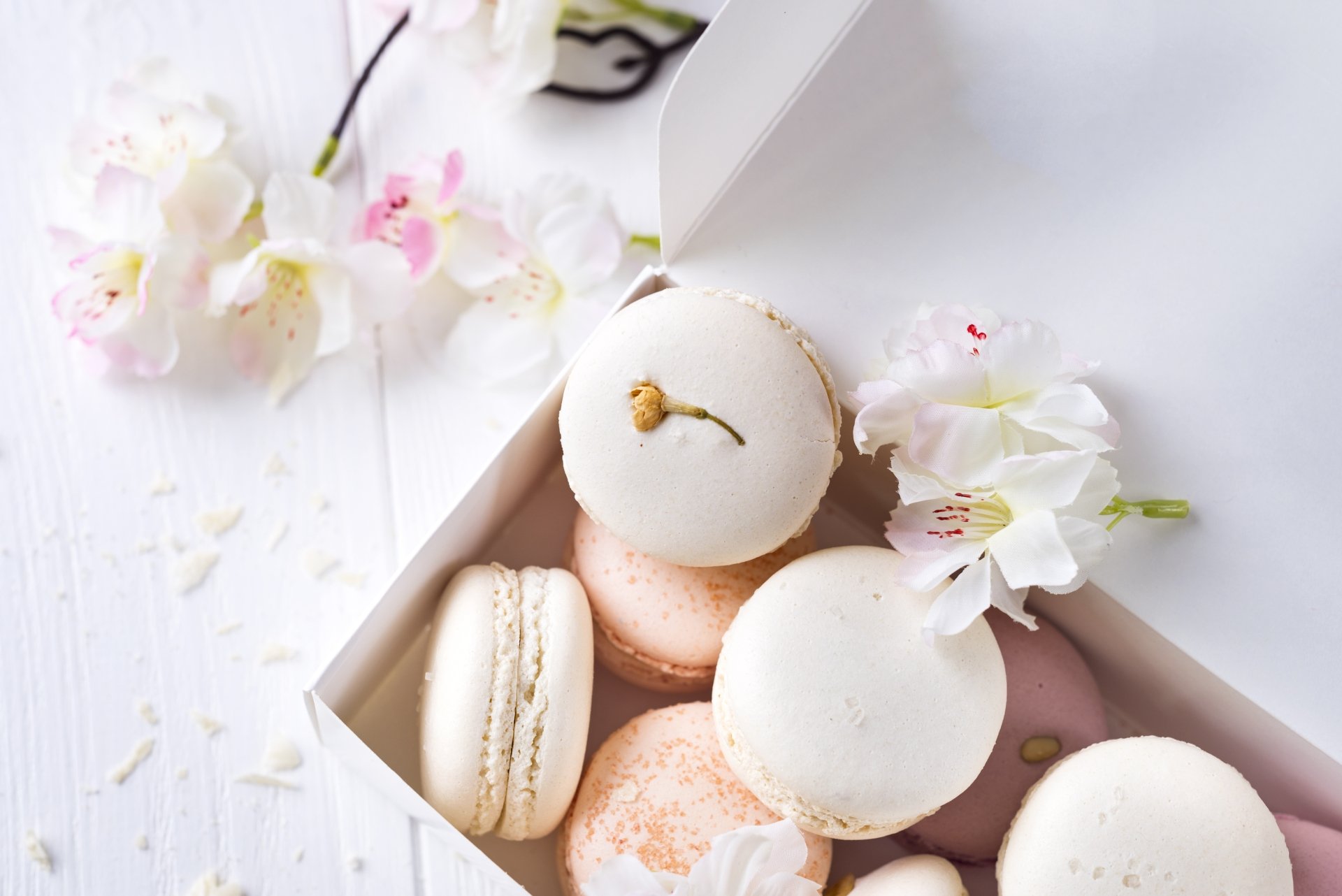 Download Food Macaron 4k Ultra HD Wallpaper