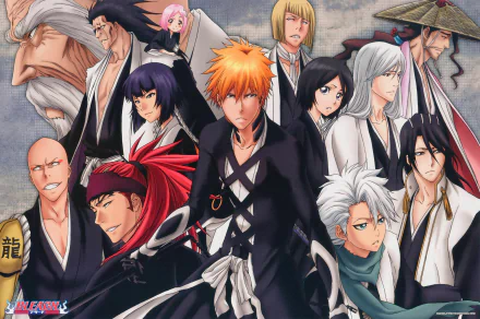 Kenpachi Zaraki Renji Abarai Rukia Kuchiki Ichigo Kurosaki Gotei 13 Anime Bleach HD Desktop Wallpaper | Background Image