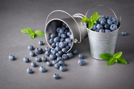food blueberry HD Desktop Wallpaper | Background Image
