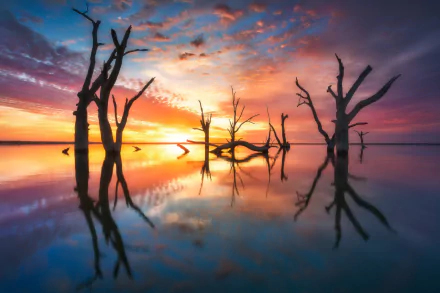 HDR Australia reflection nature sunrise HD Desktop Wallpaper | Background Image