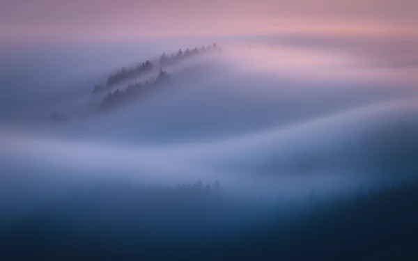 Majestic fog over the scenic California landscape, creating a serene and captivating view for a HD desktop wallpaper.