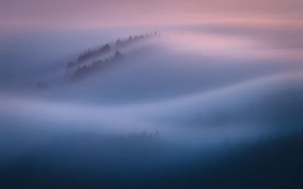 California nature fog HD Desktop Wallpaper | Background Image