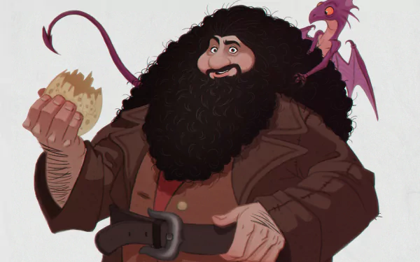 Rubeus Hagrid movie Harry Potter HD Desktop Wallpaper | Background Image