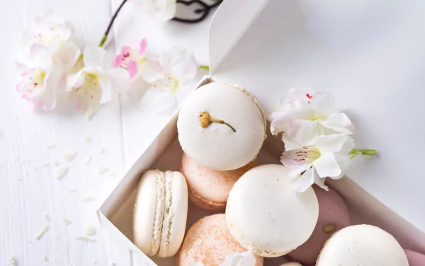 food macaron HD Desktop Wallpaper | Background Image